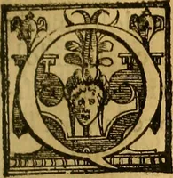 An illustration from Trattato di Christoforo Acosta Africano medico, & chirurgo della historia, natura, et virtu delle droghe medicinali, & altri semplici rarissimi, che vengono portati dalle Indie Orientali in Europa : con le figures delle piante ritratte, & disegnate dal viuo poste a' luoghi proprij ; nuouamente recato dalla Spagnuola nella nostra lingua .. (1585)