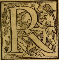 An illustration from Trattato di Christoforo Acosta Africano medico, & chirurgo della historia, natura, et virtu delle droghe medicinali, & altri semplici rarissimi, che vengono portati dalle Indie Orientali in Europa : con le figures delle piante ritratte, & disegnate dal viuo poste a' luoghi proprij ; nuouamente recato dalla Spagnuola nella nostra lingua .. (1585)