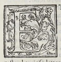 An illustration from Trattato di Christoforo Acosta africano medico, & chirurgo della historia, natura, et virtu delle droghe medicinali, & altri semplici rarissimi, che vengono portati dalle Indie Orientali in Europa, : con le figure delle piante ritratte, & disegnate dal viuo poste a'luoghi proprij. (1585)