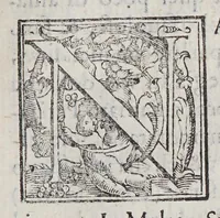 An illustration from Trattato di Christoforo Acosta africano medico, & chirurgo della historia, natura, et virtu delle droghe medicinali, & altri semplici rarissimi, che vengono portati dalle Indie Orientali in Europa, : con le figure delle piante ritratte, & disegnate dal viuo poste a'luoghi proprij. (1585)