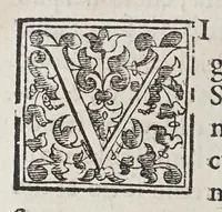 An illustration from Trattato di Christoforo Acosta africano medico, & chirurgo della historia, natura, et virtu delle droghe medicinali, & altri semplici rarissimi, che vengono portati dalle Indie Orientali in Europa, : con le figure delle piante ritratte, & disegnate dal viuo poste a'luoghi proprij. (1585)