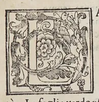 Picture 17 of 20 from Trattato di Christoforo Acosta africano medico, & chirurgo della historia, natura, et virtu delle droghe medicinali, & altri semplici rarissimi, che vengono portati dalle Indie Orientali in Europa, : con le figure delle piante ritratte, & disegnate dal viuo poste a'luoghi proprij. (1585), leaf 319