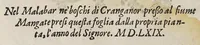 Picture 3 of 20 from Trattato di Christoforo Acosta africano medico, & chirurgo della historia, natura, et virtu delle droghe medicinali, & altri semplici rarissimi, che vengono portati dalle Indie Orientali in Europa, : con le figure delle piante ritratte, & disegnate dal viuo poste a'luoghi proprij. (1585), leaf 72