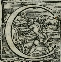 An illustration from Trattato di scientia d'arme : con vn dialogo di filosofia (1553)