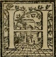Picture 96 of 100 from Trattato di scientia d'arme : con vn dialogo di filosofia (1553), leaf 135