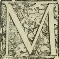 An illustration from Trattato di scientia d'arme : con vn dialogo di filosofia (1553)