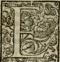 An illustration from Trattato di tutte l'opere pie dell'alma citta di Roma : nel quale si descriuono tutti gli spedali, confraternite, & altri luoghi pij de quale tutti o la maggior parte hanno facoltà di communicare i loro priuilegi & indulgenze & si dichiara da chi sieno state instituite dette opere di che tempo, & quello che fanno & molte altre cose curiose da intendersi (1601)
