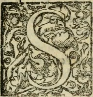 An illustration from Trattato di tutte l'opere pie dell'alma citta di Roma : nel quale si descriuono tutti gli spedali, confraternite, & altri luoghi pij de quale tutti o la maggior parte hanno facoltà di communicare i loro priuilegi & indulgenze & si dichiara da chi sieno state instituite dette opere di che tempo, & quello che fanno & molte altre cose curiose da intendersi (1601)