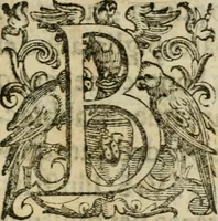 An illustration from Trattato di tutte l'opere pie dell'alma citta di Roma : nel quale si descriuono tutti gli spedali, confraternite, & altri luoghi pij de quale tutti o la maggior parte hanno facoltà di communicare i loro priuilegi & indulgenze & si dichiara da chi sieno state instituite dette opere di che tempo, & quello che fanno & molte altre cose curiose da intendersi (1601)