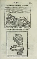 Picture 46 of 58 from Trattato nuouo delle cose marauigliose dell'alma città di Roma : ornato de molte figure, nel quale si discorre di 300.e piu chiese (1625), leaf 357