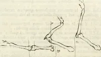 An illustration from Trattato della pittura (1792)