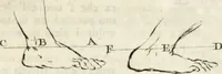An illustration from Trattato della pittura (1792)