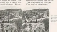 An illustration from The Traveller (1902)