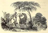 An illustration from Travels and adventures in Southern Africa (1827)