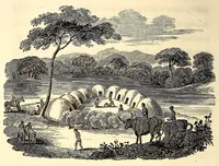Picture 13 of 18 from Travels and adventures in Southern Africa (1827), leaf 304