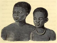 An illustration from Travels and adventures in Southern Africa (1827)