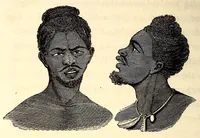 An illustration from Travels and adventures in Southern Africa (1827)