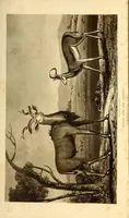 An illustration from Travels and adventures in Southern Africa (1827)
