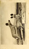 Picture 4 of 16 from Travels and adventures in Southern Africa (1827), leaf 47
