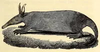 Picture 6 of 16 from Travels and adventures in Southern Africa (1827), leaf 99