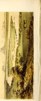 An illustration from Travels and discoveries in North and Central Africa : being a journal of an expedition undertaken under the auspices of H.B.M.'s government in the years 1849-1855 (1857)