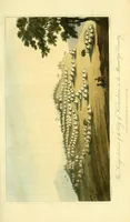 Picture 3 of 8 from Travels in South Africa, undertaken at the request of the London missionary society; being a narrative of a second journey in the interior of that country (1822), leaf 255