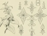 An illustration from Travels in South Kensington, with notes on Decorative art and architecture in England (1882)