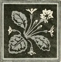 An illustration from Travels in South Kensington, with notes on Decorative art and architecture in England (1882)