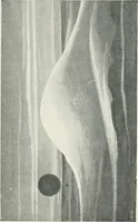 Picture 8 of 56 from Travels in space; a history of aerial navigation (1902), leaf 86