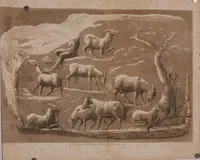 Picture 13 of 14 from Travels in various countries of the East; being a continuation of Memoirs relating to European and Asiatic Turkey, &c. (1820), leaf 661