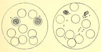 An illustration from Travels and life in Ashanti and Jaman (1898)