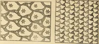 An illustration from Travels through Spain, in the years 1775 and 1776. In which several monuments of Roman and Moorish architecture are illustrated by accurate drawings taken on the spot (1779)
