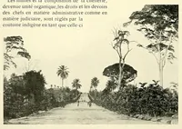 Picture 8 of 19 from À travers le Congo belge; récit de voyage de Banana au Katanga (1909), leaf 48
