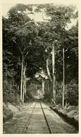 An illustration from À travers le Congo belge; récit de voyage de Banana au Katanga (1909)