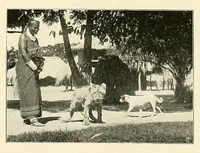An illustration from À travers le Congo belge; récit de voyage de Banana au Katanga (1909)
