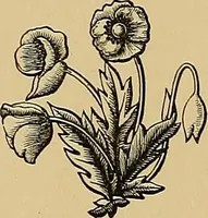 An illustration from Treasure spots of the world : a selection of the chief beauties and wonders of nature and art (1875)