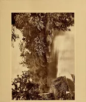 An illustration from Treasure spots of the world : a selection of the chief beauties and wonders of nature and art (1875)