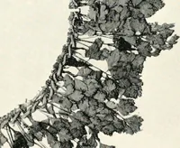 Picture 14 of 33 from The treasury of ancient Egypt; miscellaneous chapters on ancient Egyptian history and archæology (1911), leaf 132
