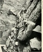 An illustration from The treasury of ancient Egypt; miscellaneous chapters on ancient Egyptian history and archæology (1911)