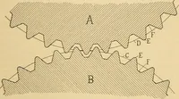 An illustration from A treatise, giving a thorough description of the properties and supply of the fibres, as well as the various processes required for converting wool, cotton, silk from fibre to finished goods, covering both woven and knit goods ... construction of the most modern improvements to preparatory machinery ... accessories relating to construction and equipment of modern textile manufacturing plants .. (1895)
