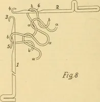 An illustration from A treatise, giving a thorough description of the properties and supply of the fibres, as well as the various processes required for converting wool, cotton, silk from fibre to finished goods, covering both woven and knit goods ... construction of the most modern improvements to preparatory machinery ... accessories relating to construction and equipment of modern textile manufacturing plants .. (1895)