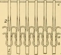 An illustration from A treatise, giving a thorough description of the properties and supply of the fibres, as well as the various processes required for converting wool, cotton, silk from fibre to finished goods, covering both woven and knit goods ... construction of the most modern improvements to preparatory machinery ... accessories relating to construction and equipment of modern textile manufacturing plants .. (1895)