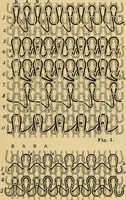 An illustration from A treatise, giving a thorough description of the properties and supply of the fibres, as well as the various processes required for converting wool, cotton, silk from fibre to finished goods, covering both woven and knit goods ... construction of the most modern improvements to preparatory machinery ... accessories relating to construction and equipment of modern textile manufacturing plants .. (1895)