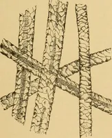 An illustration from A treatise, giving a thorough description of the properties and supply of the fibres, as well as the various processes required for converting wool, cotton, silk from fibre to finished goods, covering both woven and knit goods ... construction of the most modern improvements to preparatory machinery ... accessories relating to construction and equipment of modern textile manufacturing plants .. (1895)