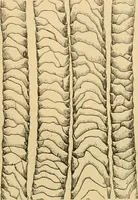 An illustration from A treatise, giving a thorough description of the properties and supply of the fibres, as well as the various processes required for converting wool, cotton, silk from fibre to finished goods, covering both woven and knit goods ... construction of the most modern improvements to preparatory machinery ... accessories relating to construction and equipment of modern textile manufacturing plants .. (1895)