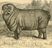 An illustration from A treatise, giving a thorough description of the properties and supply of the fibres, as well as the various processes required for converting wool, cotton, silk from fibre to finished goods, covering both woven and knit goods ... construction of the most modern improvements to preparatory machinery ... accessories relating to construction and equipment of modern textile manufacturing plants .. (1895)