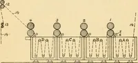 An illustration from A treatise, giving a thorough description of the properties and supply of the fibres, as well as the various processes required for converting wool, cotton, silk from fibre to finished goods, covering both woven and knit goods ... construction of the most modern improvements to preparatory machinery ... accessories relating to construction and equipment of modern textile manufacturing plants .. (1895)