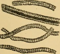 An illustration from A treatise, giving a thorough description of the properties and supply of the fibres, as well as the various processes required for converting wool, cotton, silk from fibre to finished goods, covering both woven and knit goods ... construction of the most modern improvements to preparatory machinery ... accessories relating to construction and equipment of modern textile manufacturing plants .. (1895)