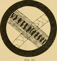 An illustration from A treatise, giving a thorough description of the properties and supply of the fibres, as well as the various processes required for converting wool, cotton, silk from fibre to finished goods, covering both woven and knit goods ... construction of the most modern improvements to preparatory machinery ... accessories relating to construction and equipment of modern textile manufacturing plants .. (1895)