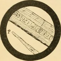 An illustration from A treatise, giving a thorough description of the properties and supply of the fibres, as well as the various processes required for converting wool, cotton, silk from fibre to finished goods, covering both woven and knit goods ... construction of the most modern improvements to preparatory machinery ... accessories relating to construction and equipment of modern textile manufacturing plants .. (1895)